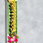 Best Green Colfax Roll * in Denver, CO